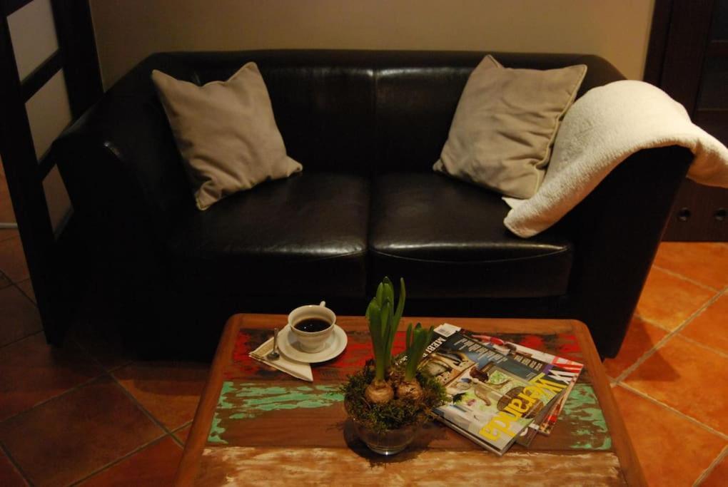 Spacious Apartment In Green District. Breslávia Exterior foto