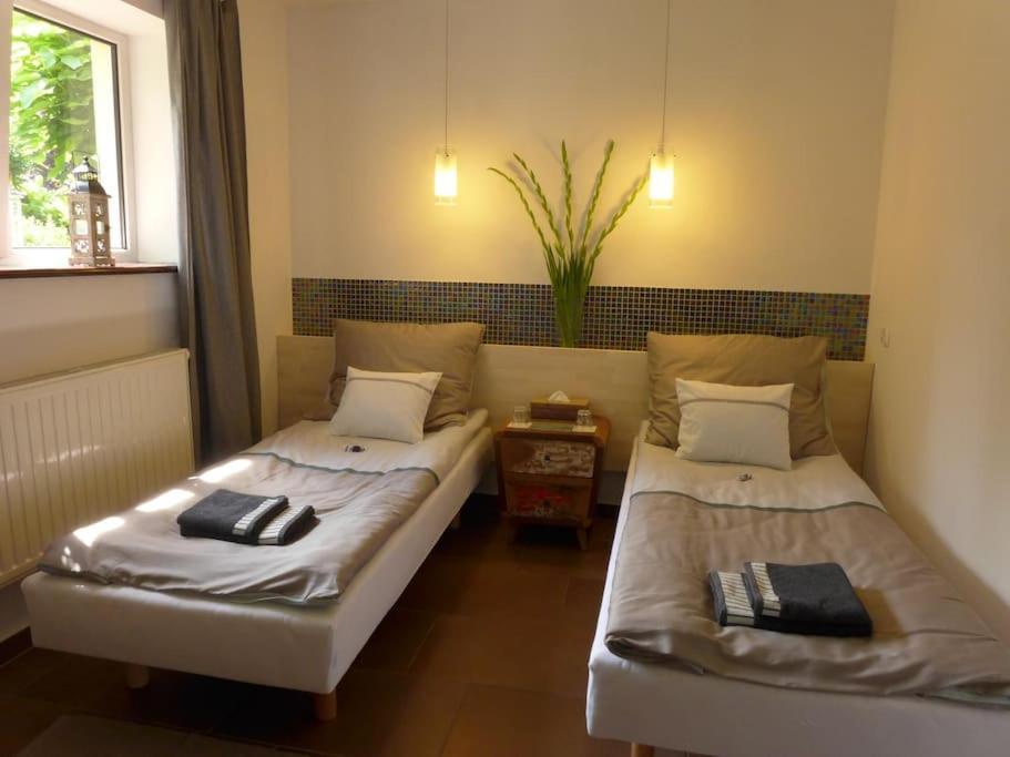 Spacious Apartment In Green District. Breslávia Exterior foto